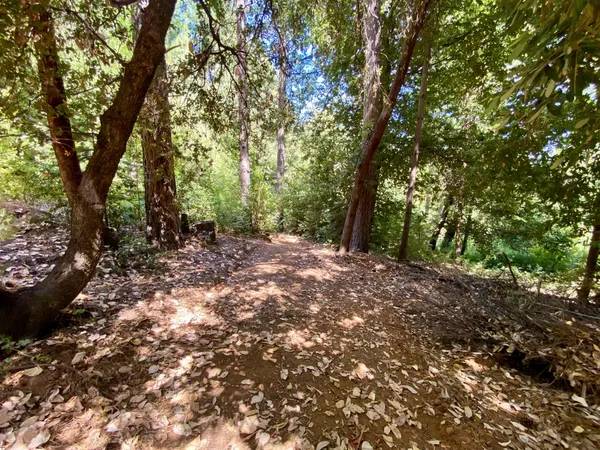 $199,000 | 17385 Ashbury Way, Camptonville, CA 95922