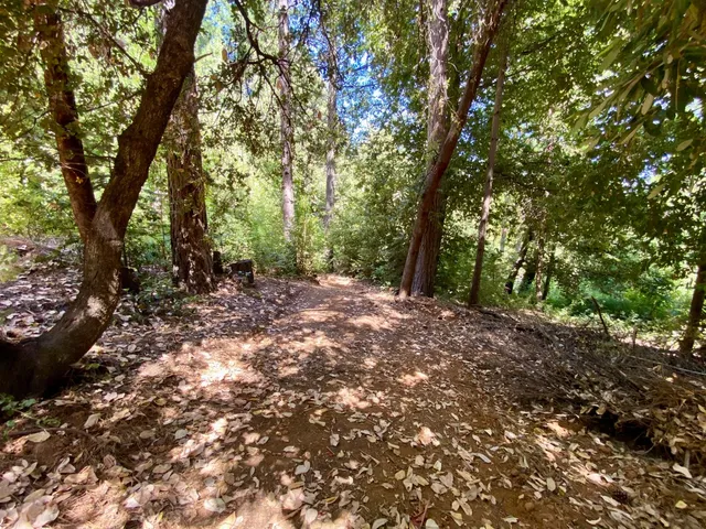 $250,000 | 17385 Ashbury Way, Camptonville, CA 95922