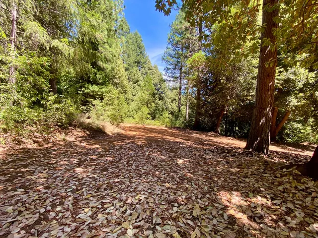 $250,000 | 17385 Ashbury Way, Camptonville, CA 95922