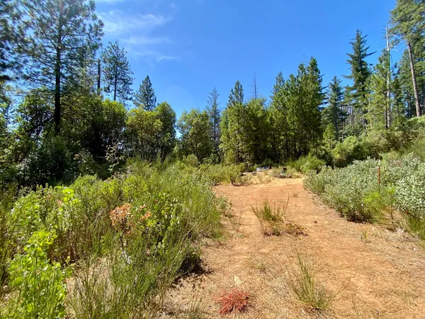 $199,000 | 17385 Ashbury Way, Camptonville, CA 95922