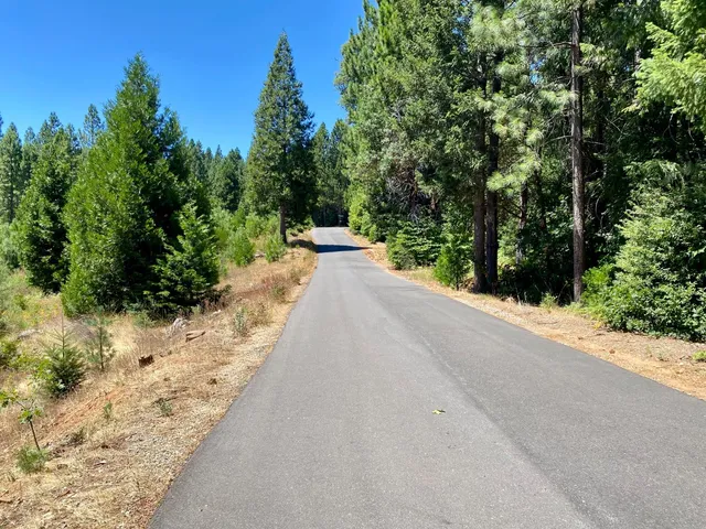 $250,000 | 17385 Ashbury Way, Camptonville, CA 95922