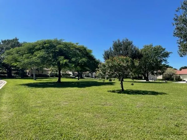 a view of field with tall trees