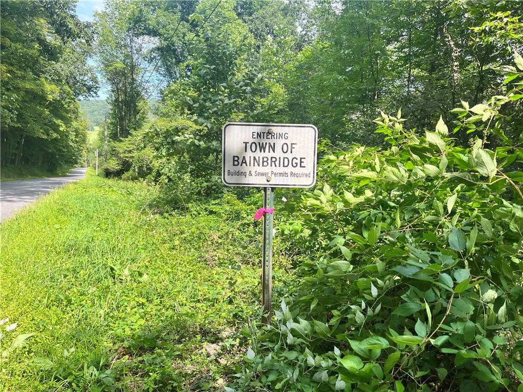 Property starts here and continues to marked ribbo