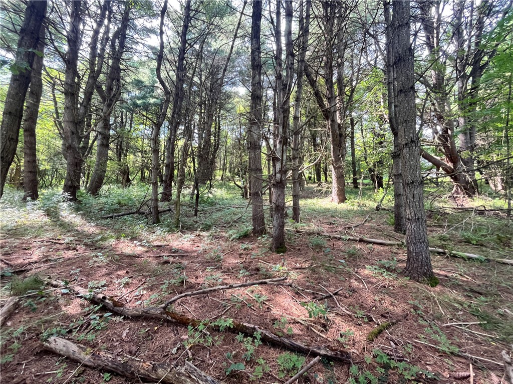 0 Chase Road Afton, NY 13730 - Photo 11 of 12