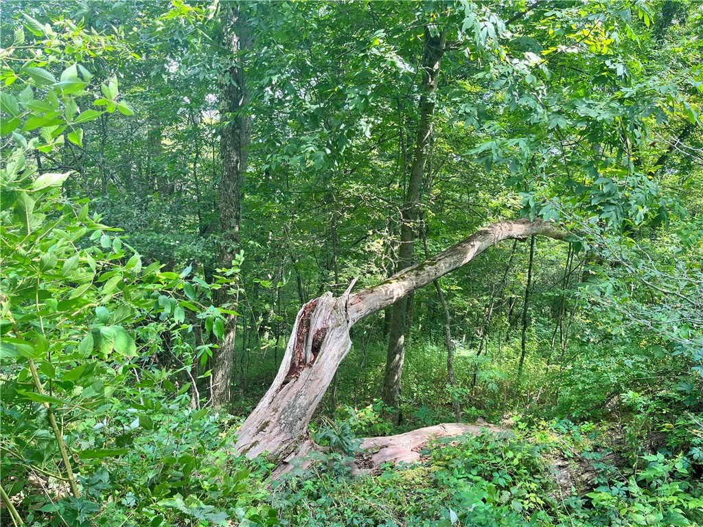 0 Chase Road Afton, NY 13730 - Photo 2 of 12