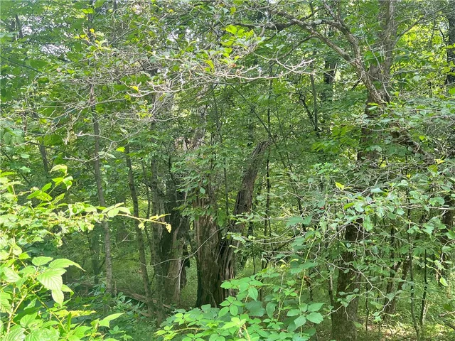 $30,000 | 0 Chase Road, Afton, NY 13730