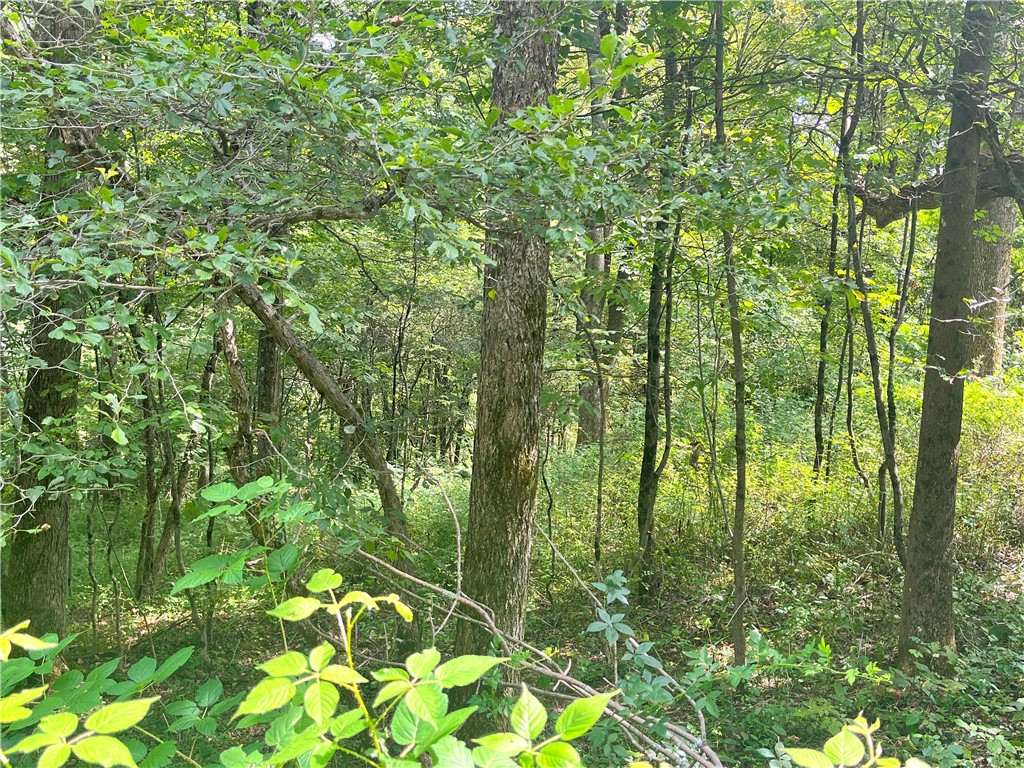 0 Chase Road Afton, NY 13730 - Photo 4 of 12