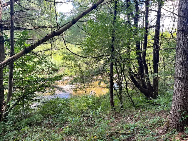 $30,000 | 0 Chase Road, Afton, NY 13730