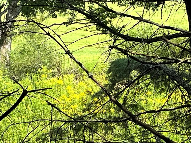 $30,000 | 0 Chase Road, Afton, NY 13730