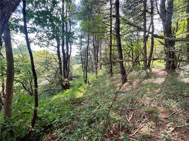 $30,000 | 0 Chase Road, Afton, NY 13730