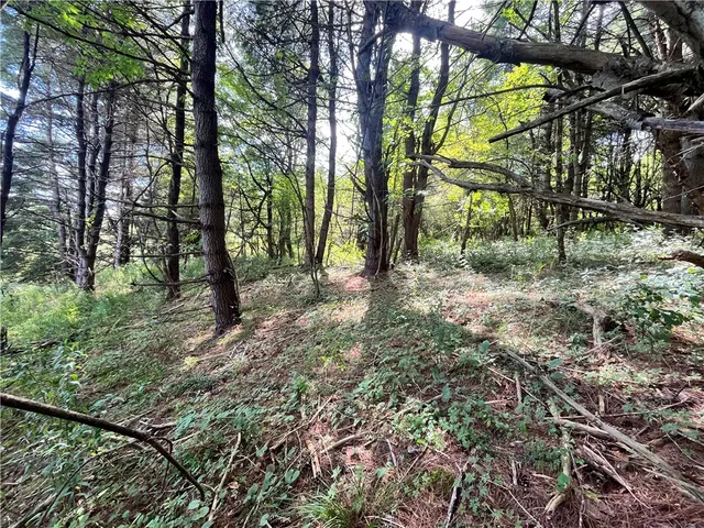 $30,000 | 0 Chase Road, Afton, NY 13730