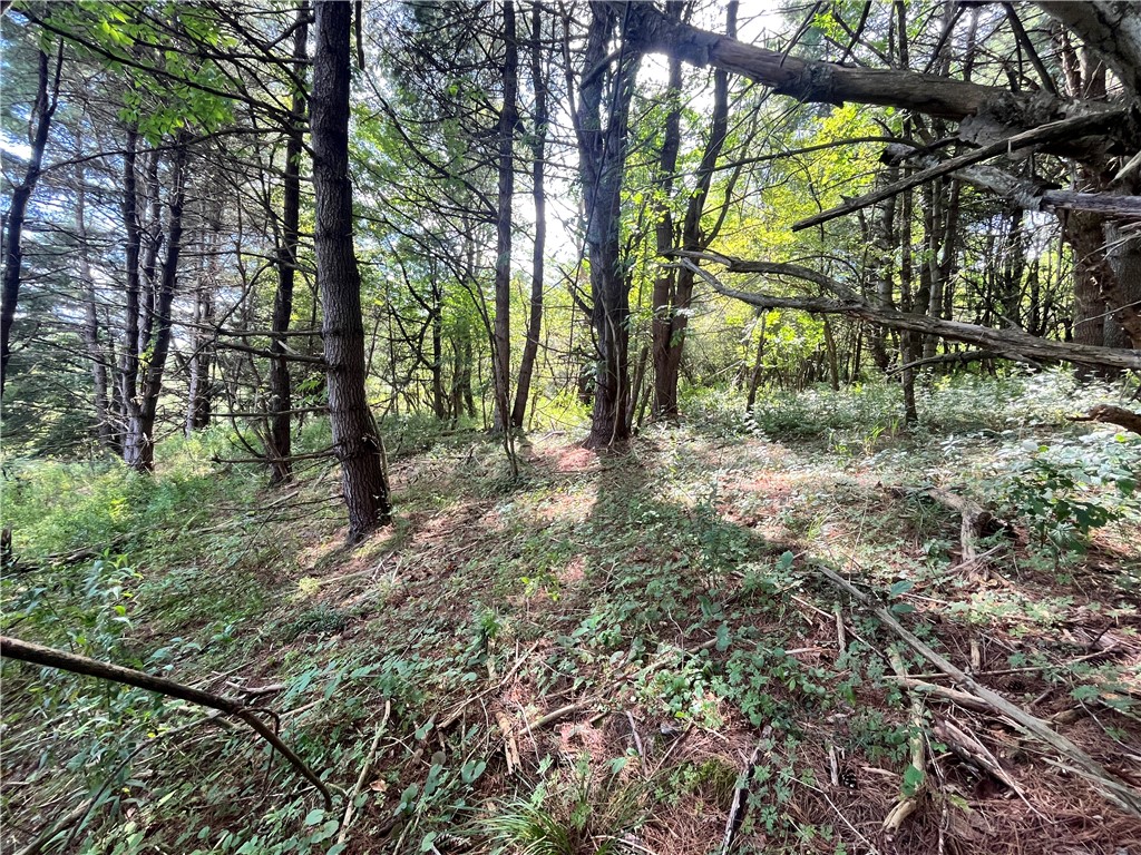 0 Chase Road Afton, NY 13730 - Photo 8 of 12