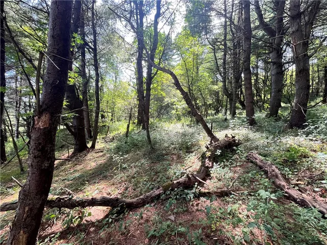 $30,000 | 0 Chase Road, Afton, NY 13730