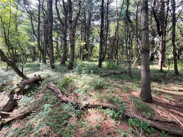 $30,000 | 0 Chase Road, Afton, NY 13730