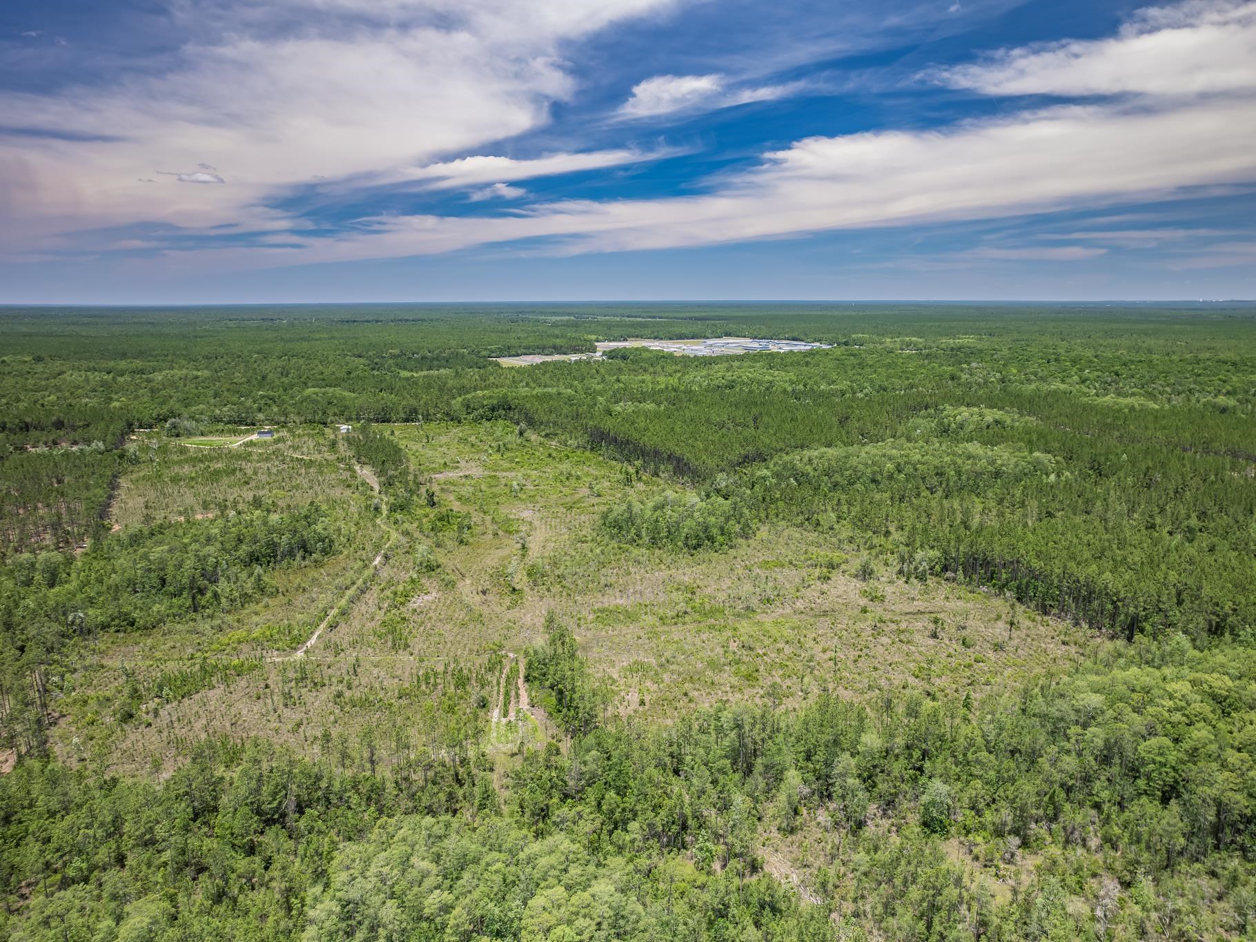Lot 3 Old Plank Road Crawfordville, FL 32327 - Photo 17 of 18