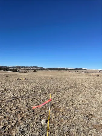 $40,000 | 262 Grand Teton Drive, Hartsel, CO 80449