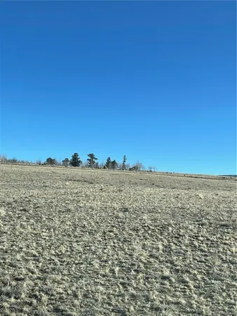 $40,000 | 262 Grand Teton Drive, Hartsel, CO 80449