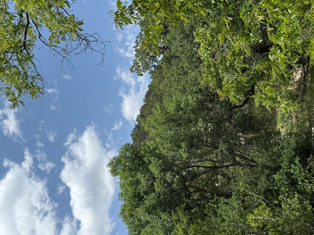 159 Valley Vista Road, Unit 159 Alice, TX 78332 - Photo 18 of 19