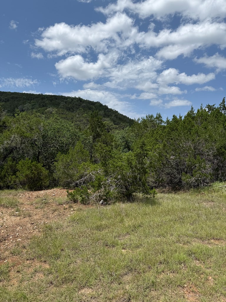 159 Valley Vista Road, Unit 159 Alice, TX 78332 - Photo 7 of 19