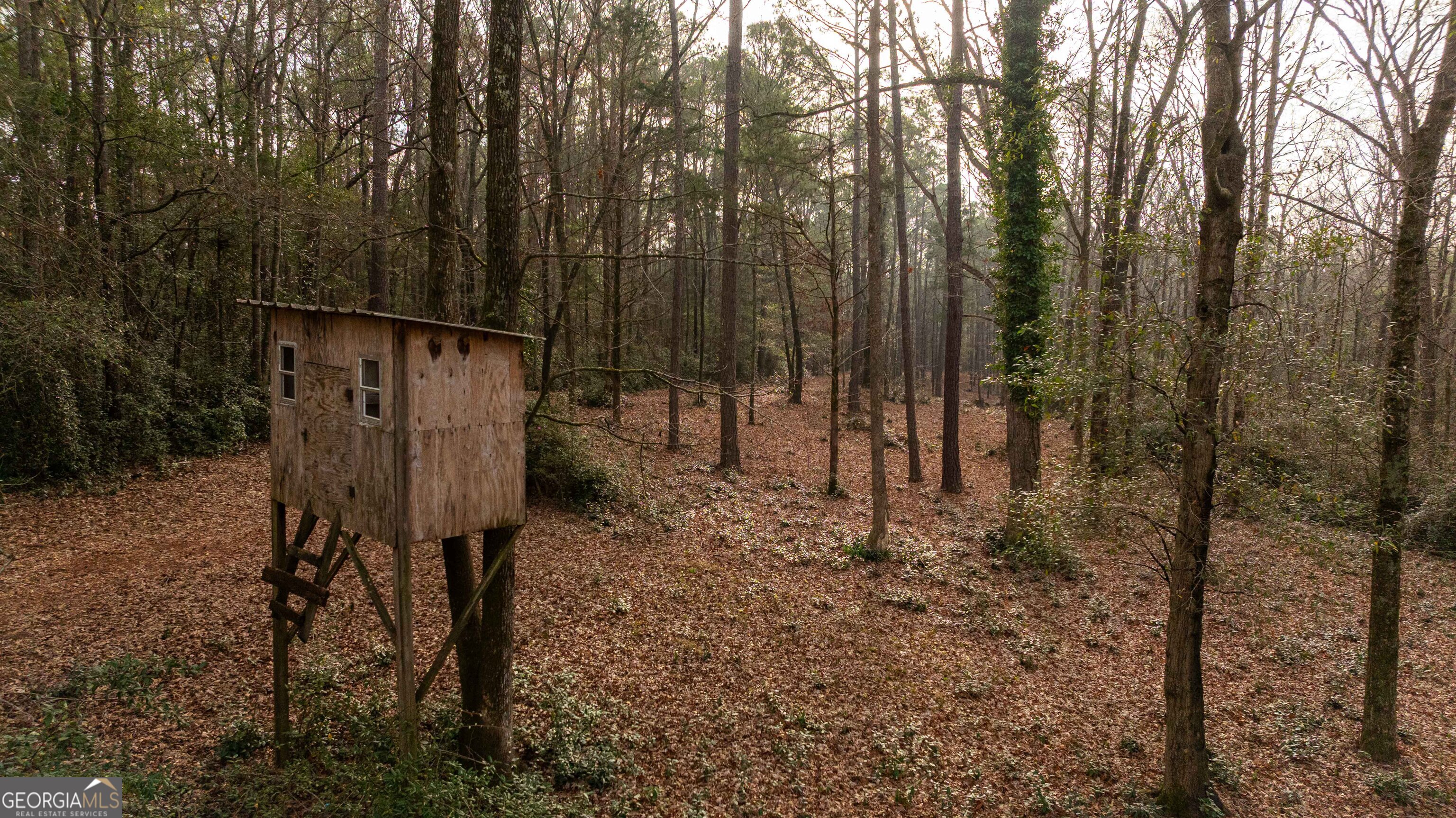 202 Daniel Road Thomaston, GA 30286 - Photo 108 of 112