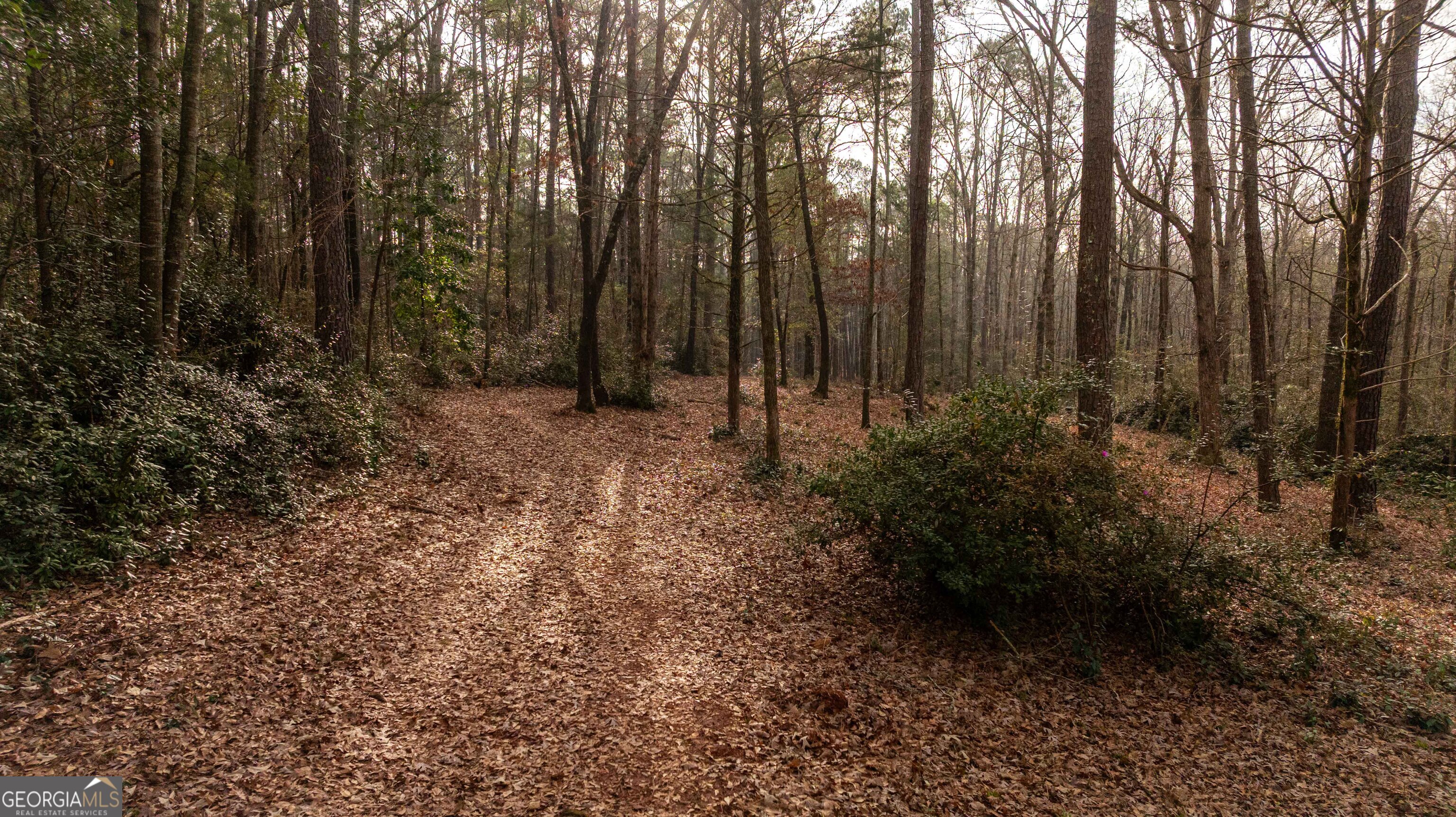 202 Daniel Road Thomaston, GA 30286 - Photo 110 of 112