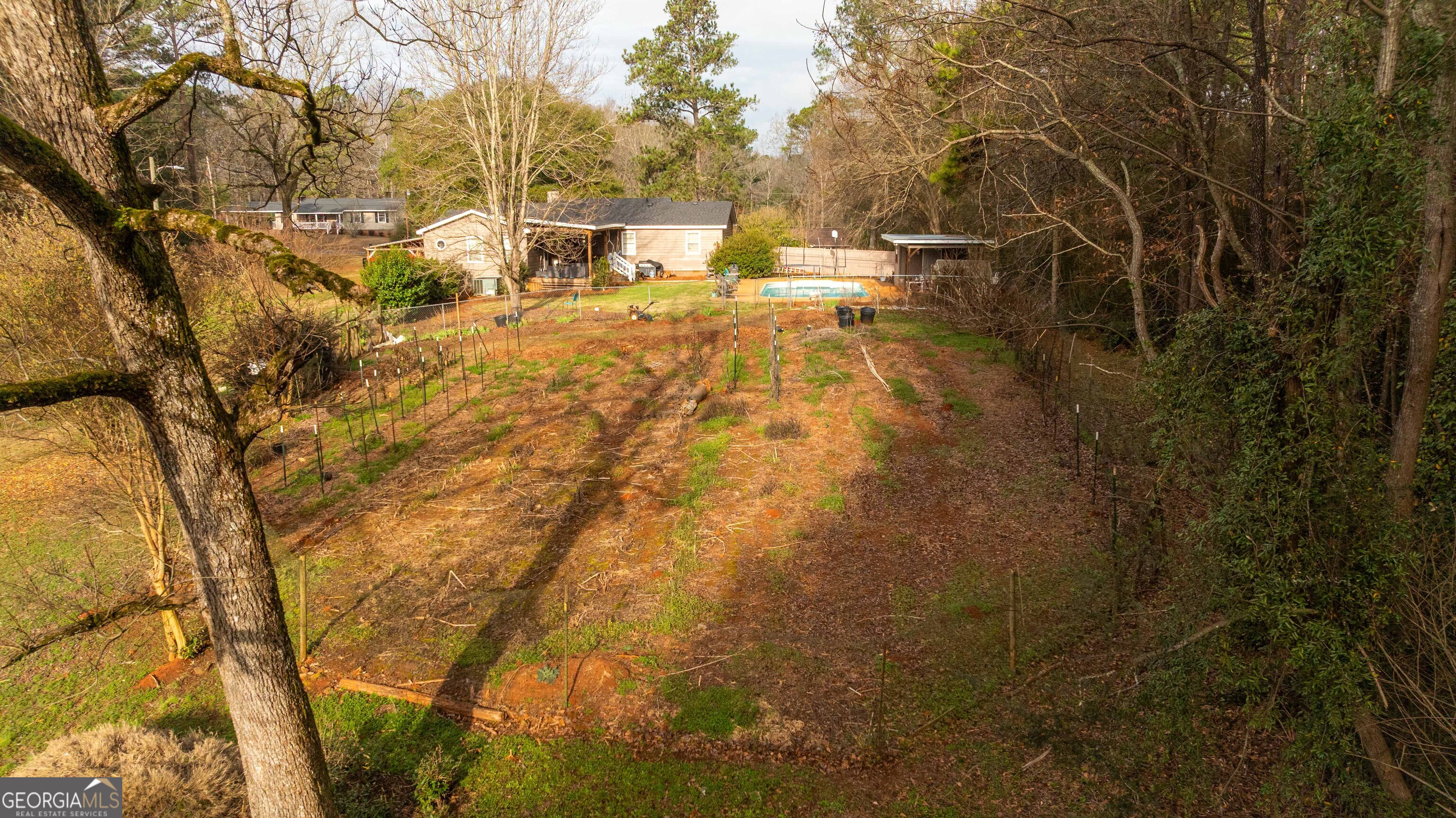 202 Daniel Road Thomaston, GA 30286 - Photo 112 of 112 a view of yard with tree and wooden fence