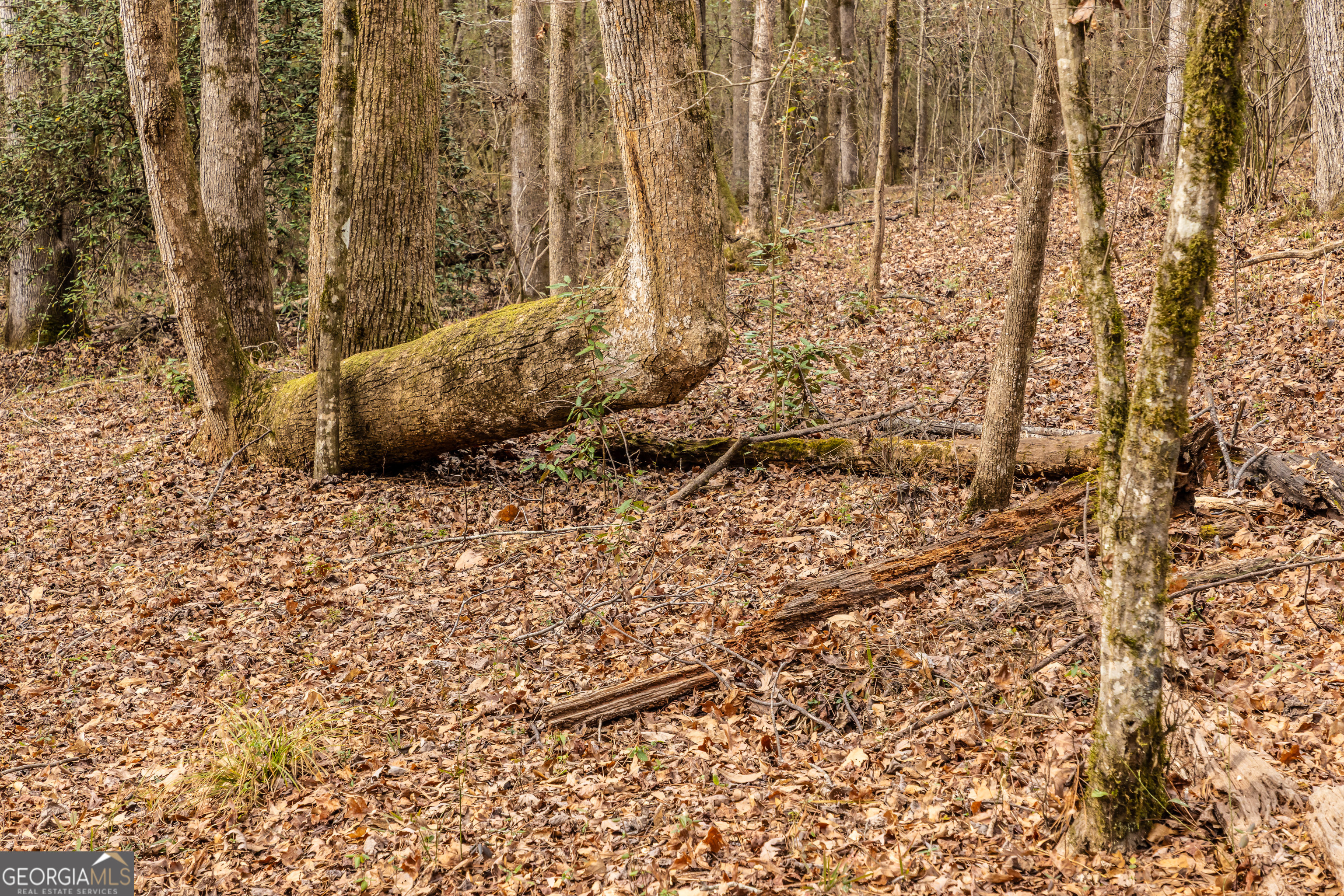 202 Daniel Road Thomaston, GA 30286 - Photo 25 of 112