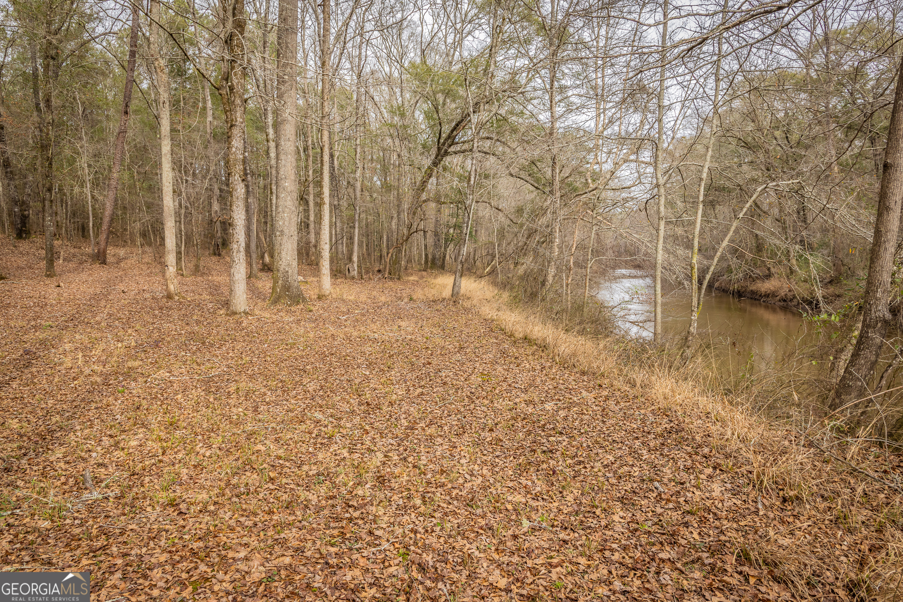 202 Daniel Road Thomaston, GA 30286 - Photo 26 of 112 a backyard of a house with lots of green space