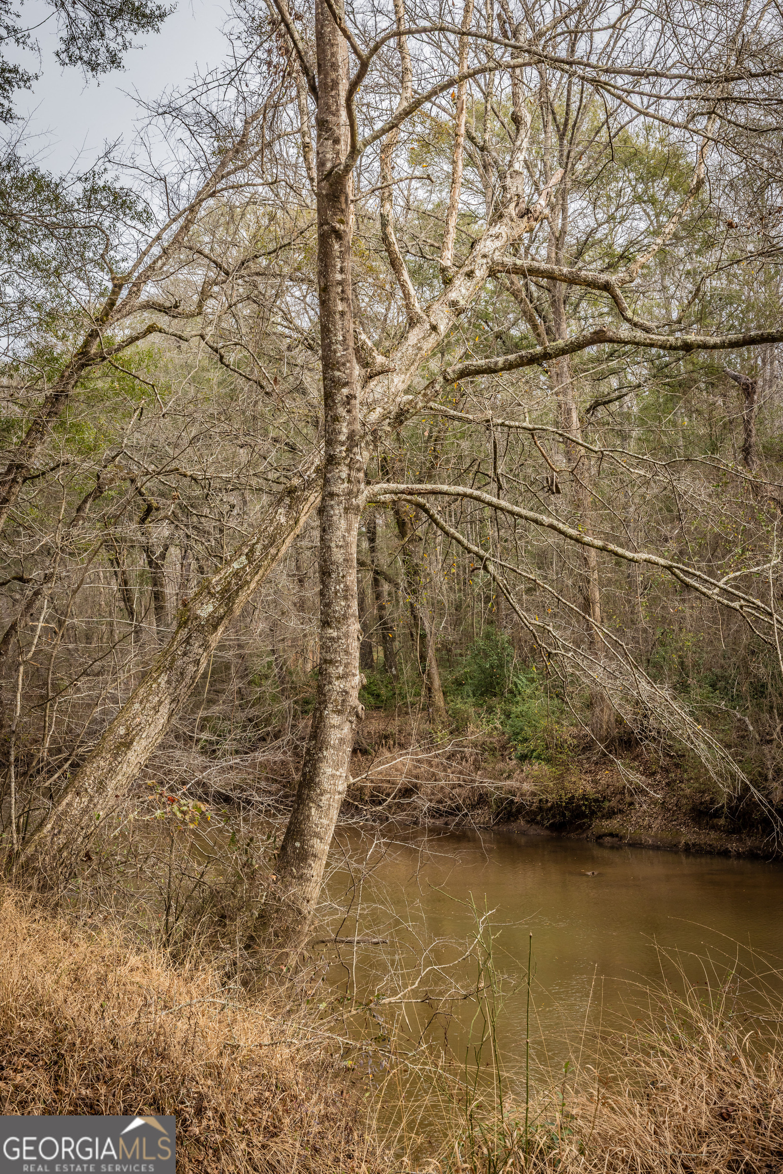 202 Daniel Road Thomaston, GA 30286 - Photo 28 of 112 a view of a lake view
