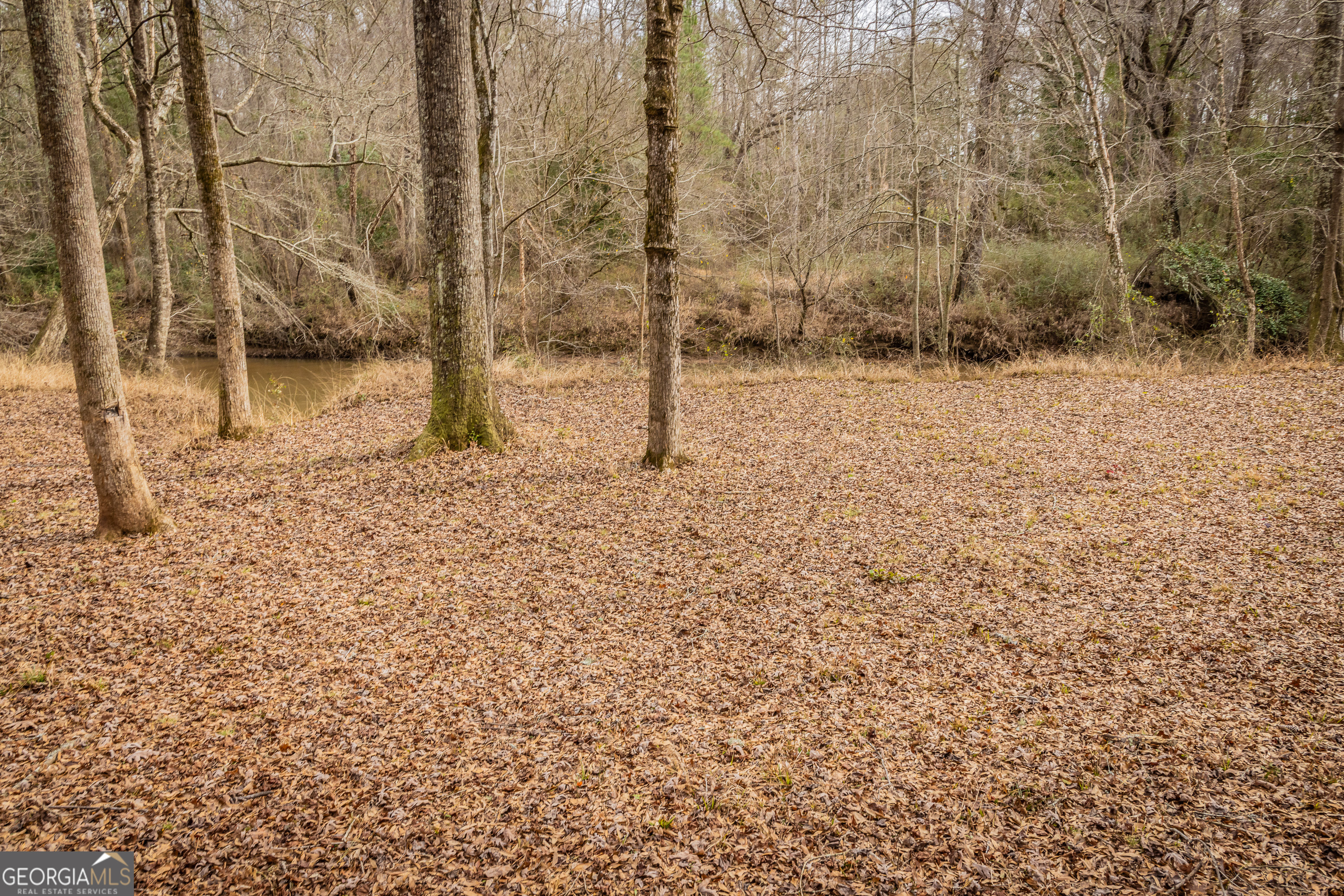 202 Daniel Road Thomaston, GA 30286 - Photo 29 of 112