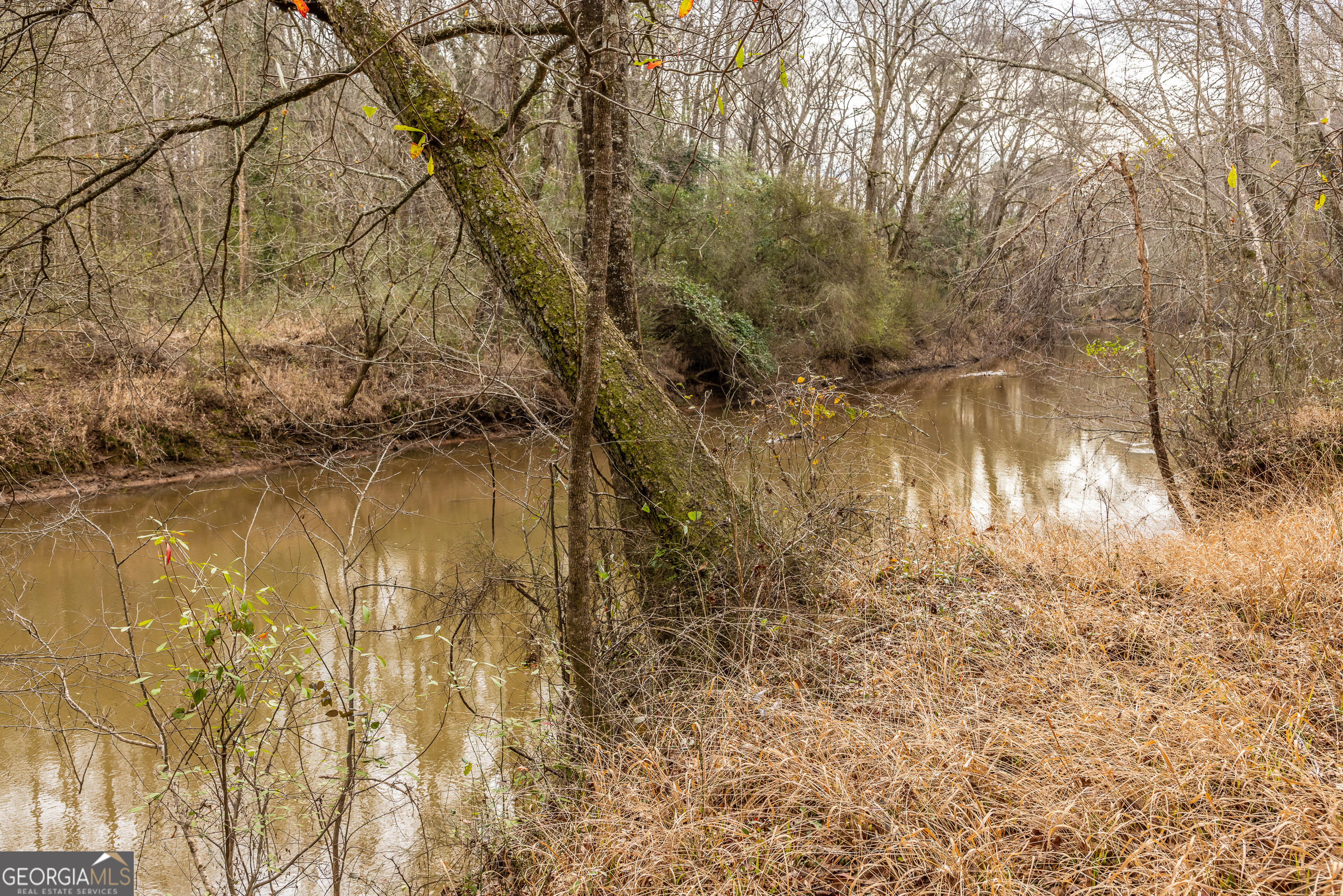 202 Daniel Road Thomaston, GA 30286 - Photo 34 of 112 a backyard of a house with a yard and lake view