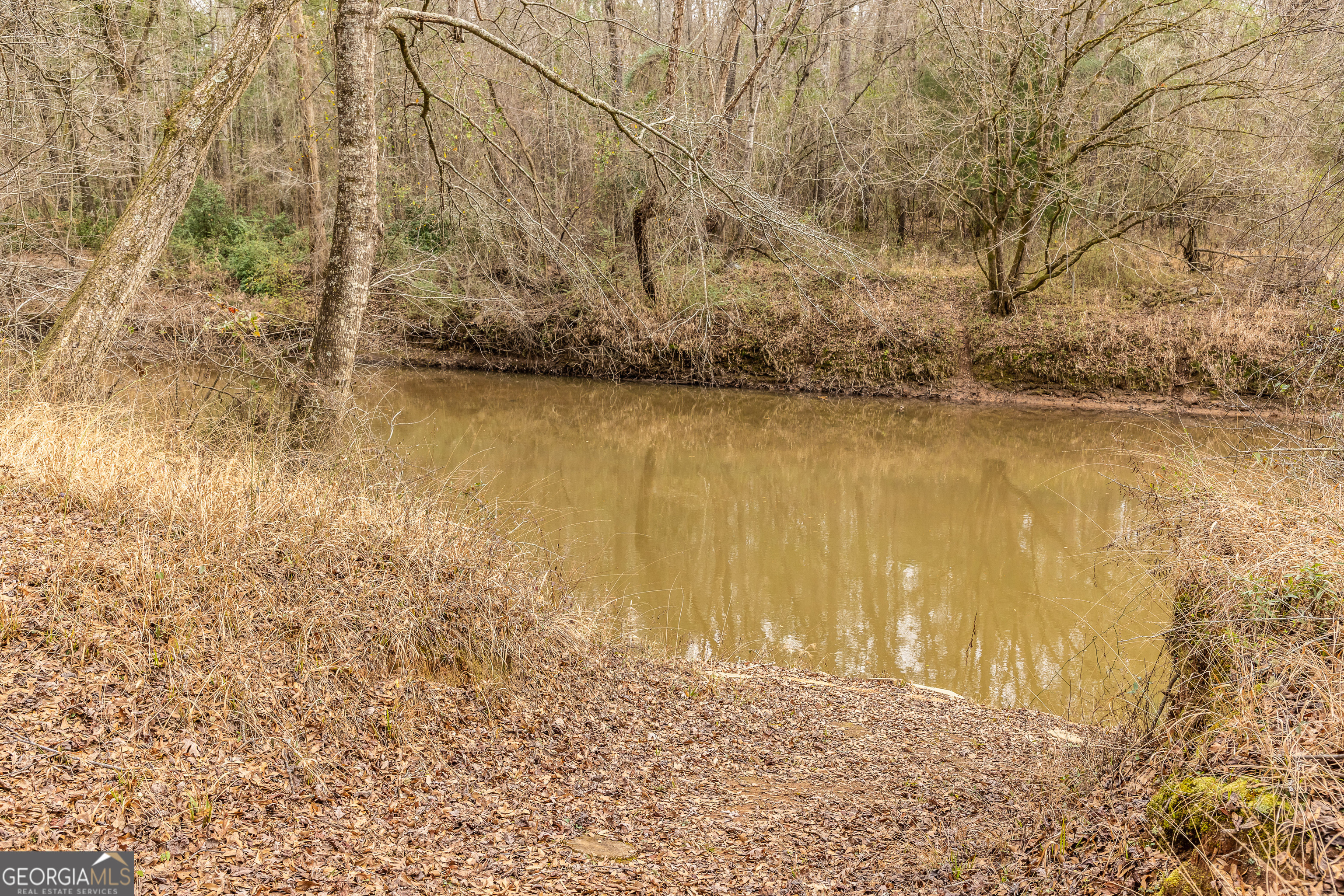 202 Daniel Road Thomaston, GA 30286 - Photo 35 of 112