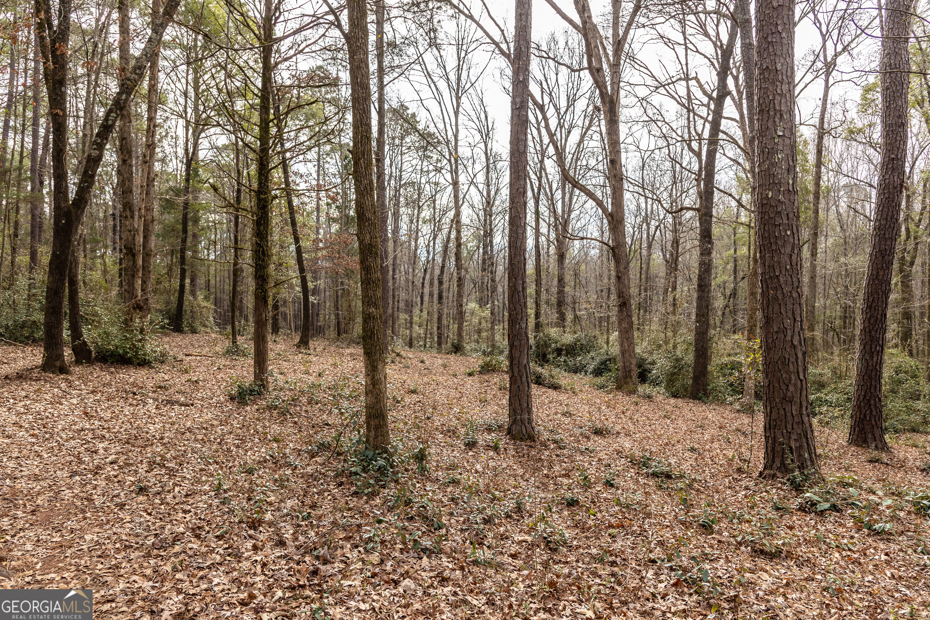 202 Daniel Road Thomaston, GA 30286 - Photo 49 of 112 a backyard of a house with lots of green space
