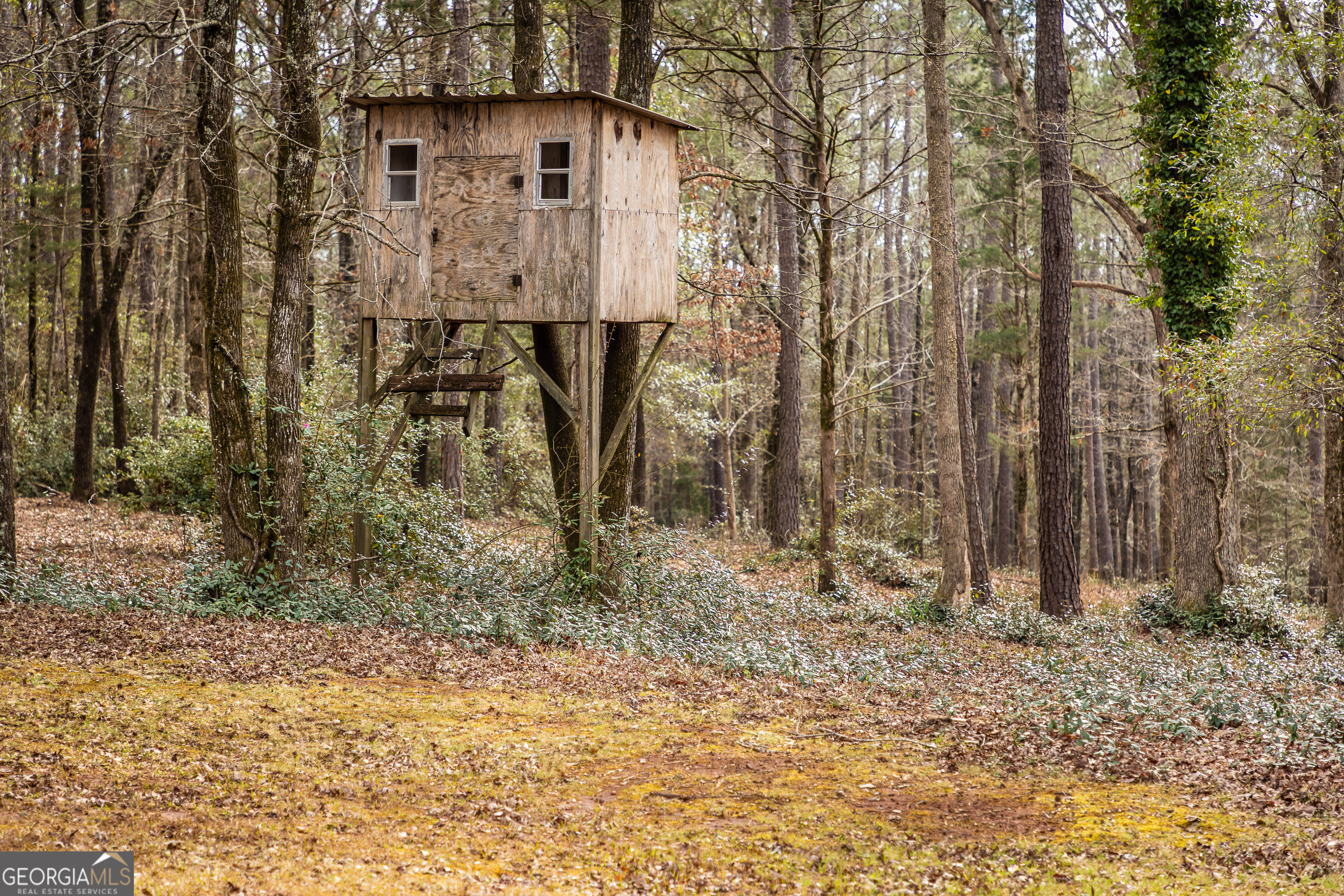 202 Daniel Road Thomaston, GA 30286 - Photo 50 of 112