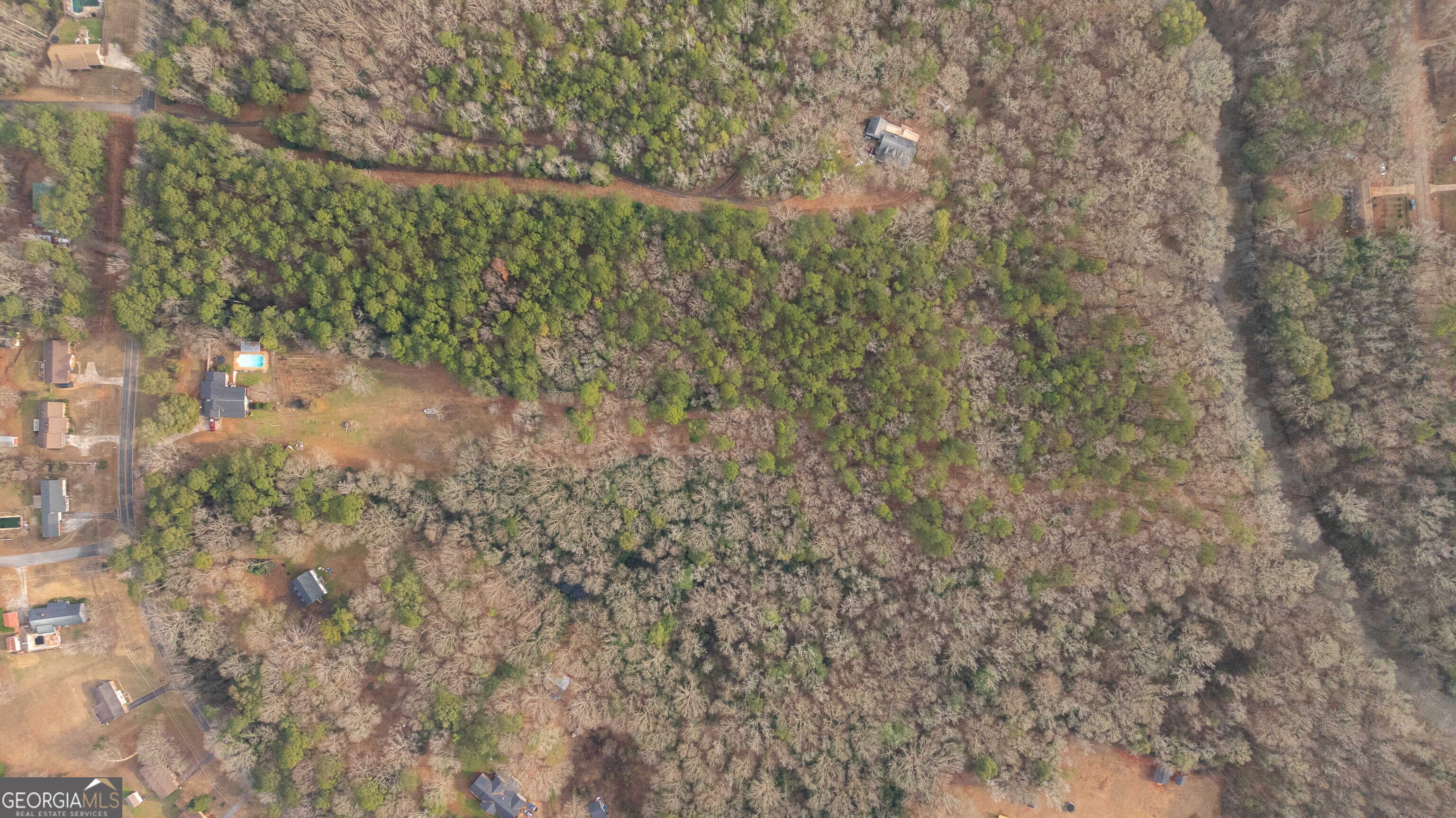 202 Daniel Road Thomaston, GA 30286 - Photo 85 of 112 a view of a yard with a tree