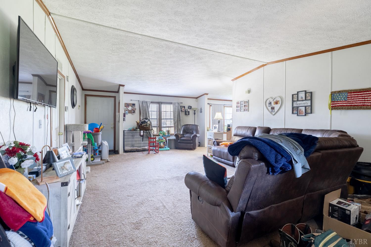 2307 Everett Road Forest, VA 24551 - Photo 4 of 31 a living room with furniture and a potted plant