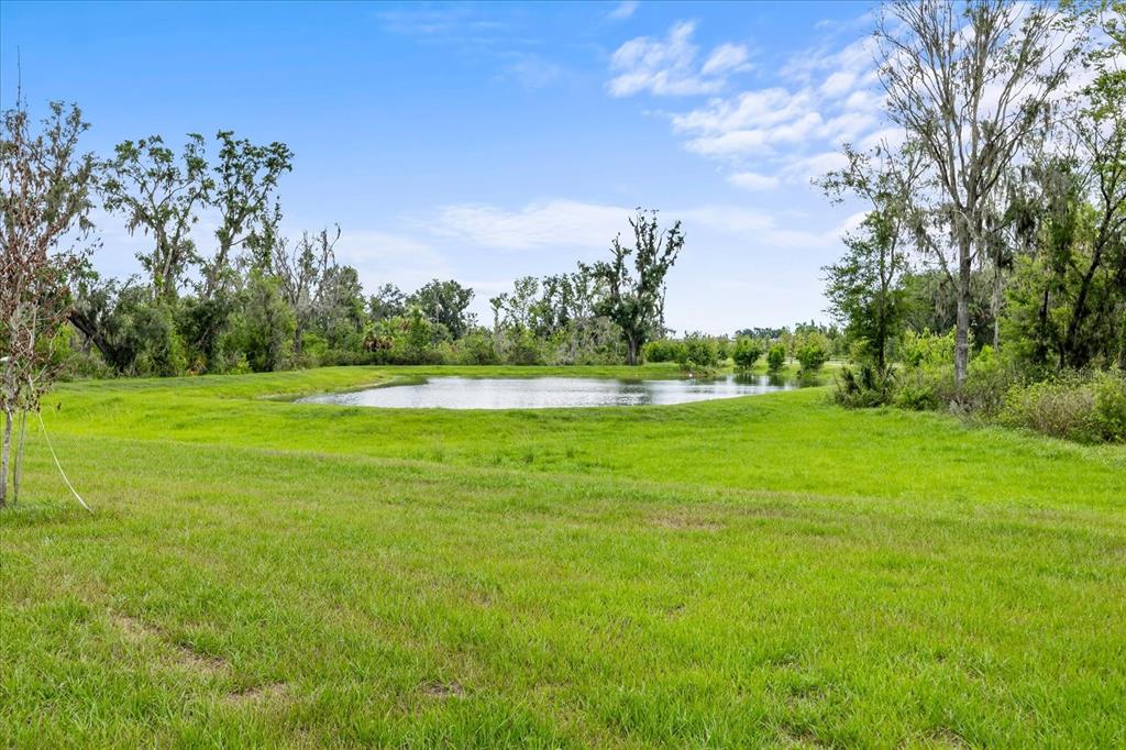 1680 Hazy Sea Drive Plant City, FL 33565 - Photo 40 of 49 a view of a golf course with a lake
