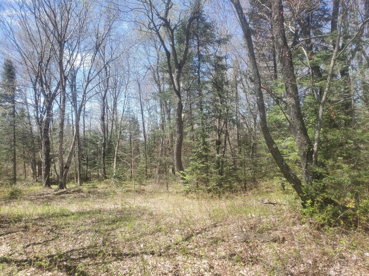 N8852 New Wood Road Tomahawk, WI 54487 - Photo 15 of 44 Gallery Image 15