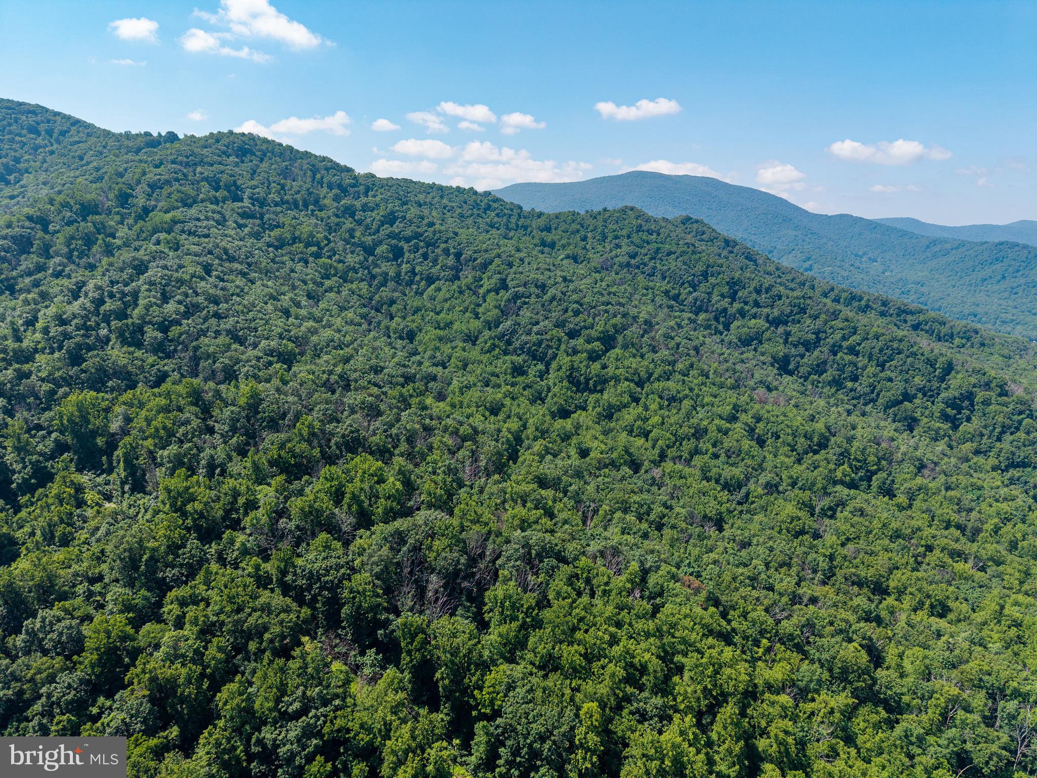 0 Helms Road Stanley, VA 22851 - Photo 5 of 50