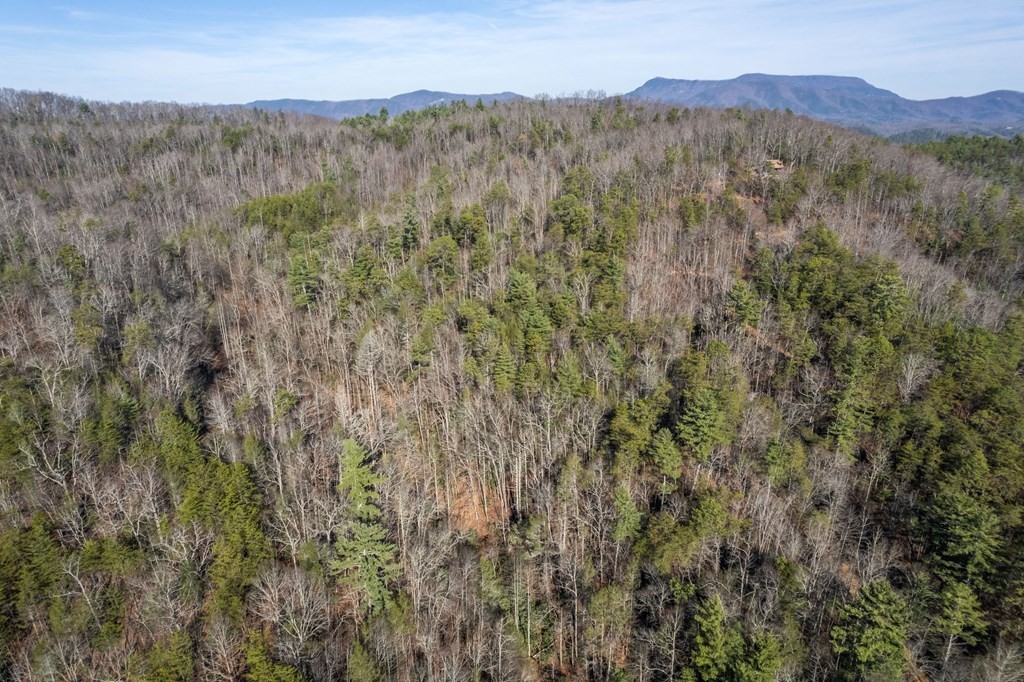 6 Henry Town Road Sevierville, TN 37876 - Photo 6 of 9
