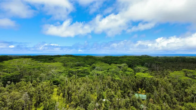 a view of a green field