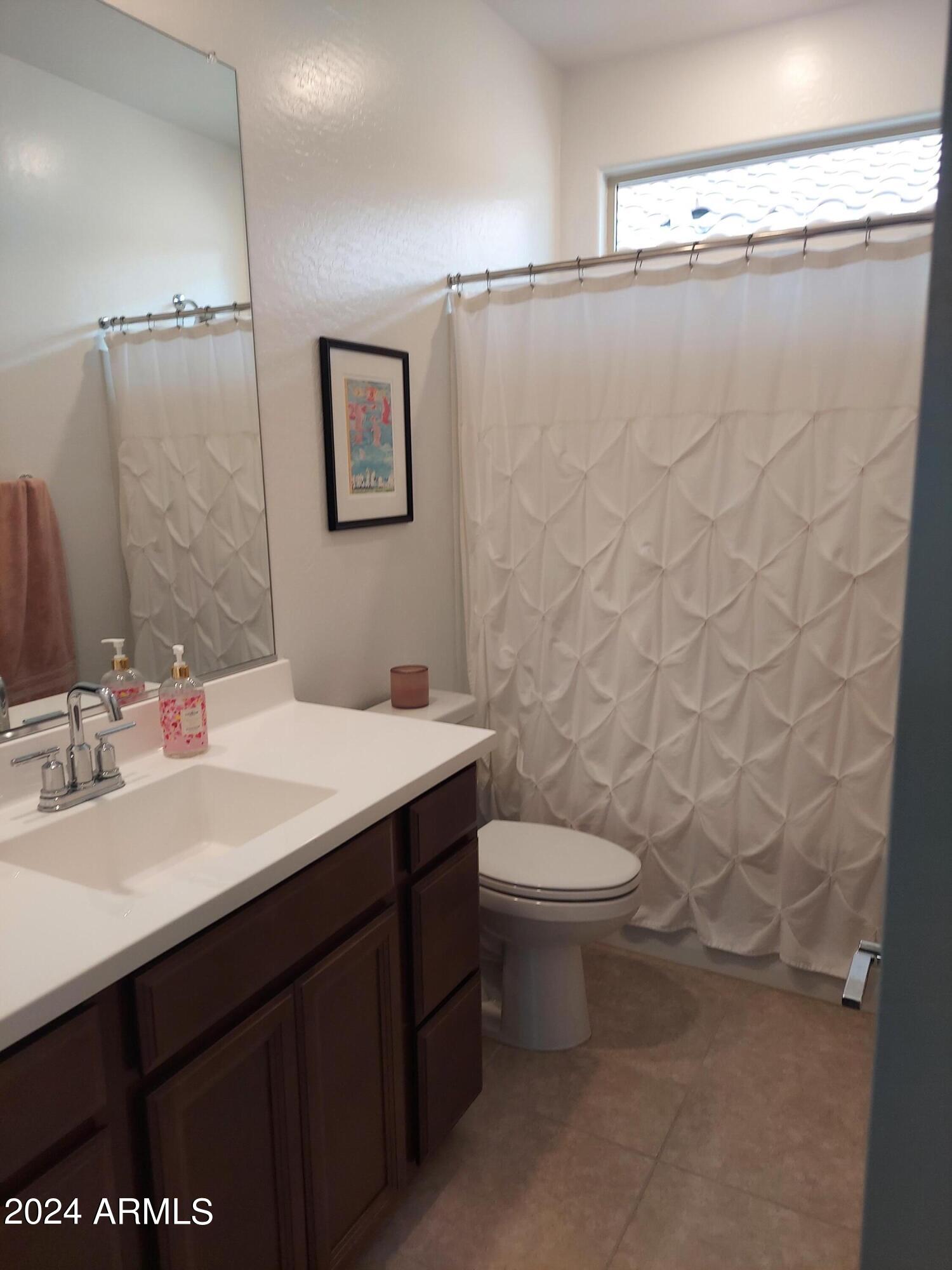 1784 South Senate Street Chandler, AZ 85286 - Photo 12 of 15 2nd bath