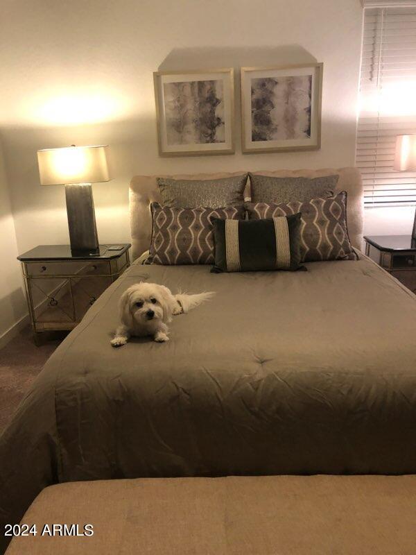 1784 South Senate Street Chandler, AZ 85286 - Photo 8 of 15 Master