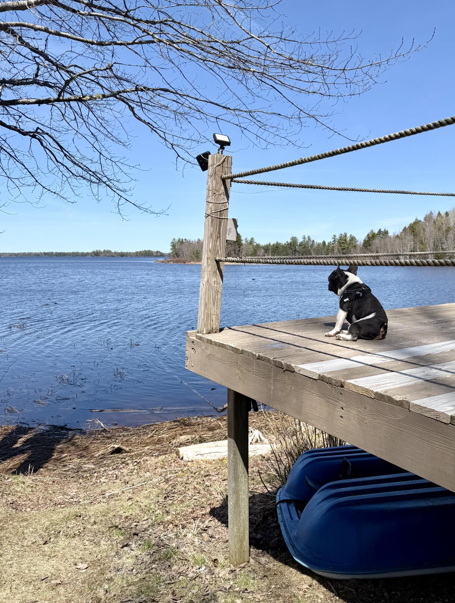 38 Lamb Farm Road Baileyville, ME 04694 - Photo 22 of 52 IMG_9007