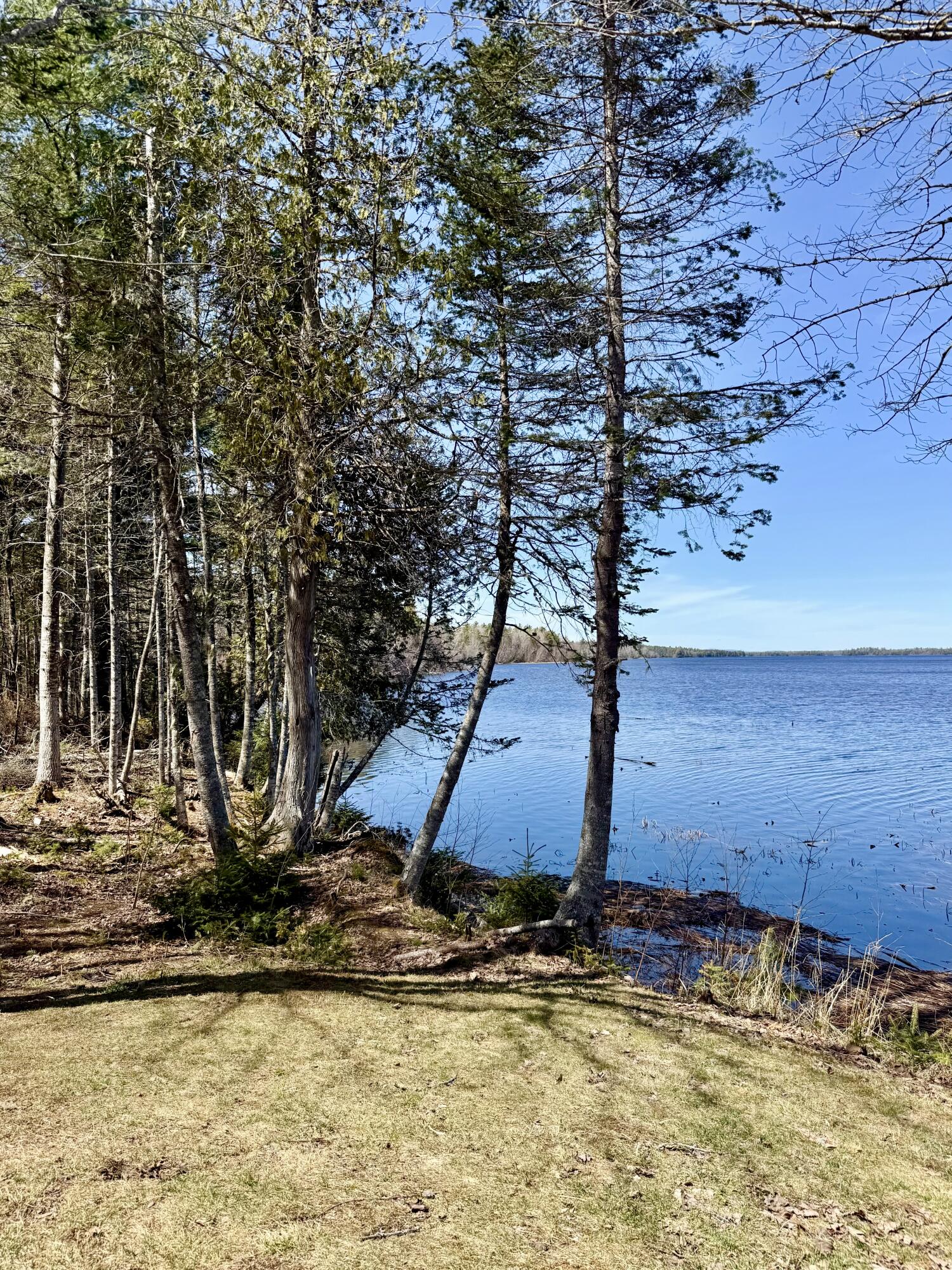 38 Lamb Farm Road Baileyville, ME 04694 - Photo 38 of 52 IMG_9003