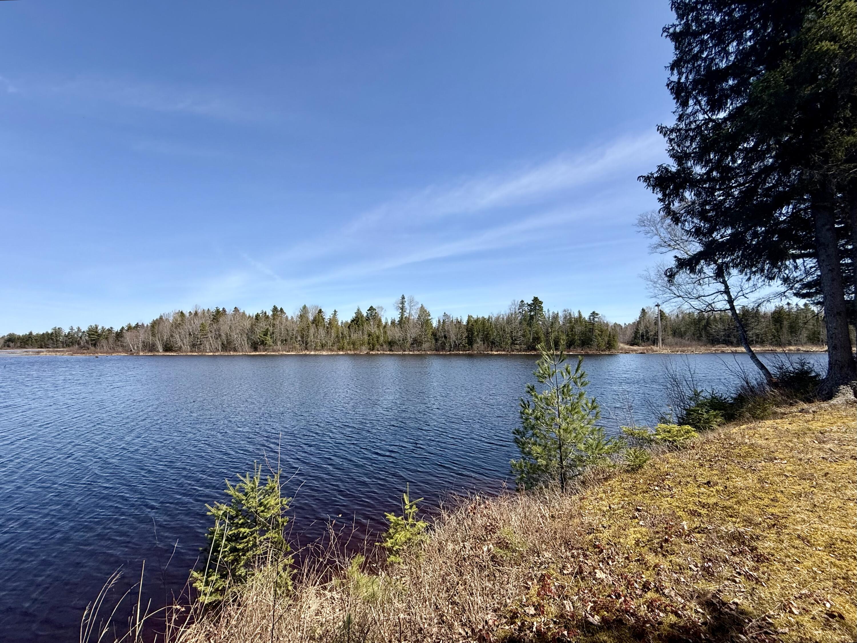 38 Lamb Farm Road Baileyville, ME 04694 - Photo 41 of 52 IMG_8811