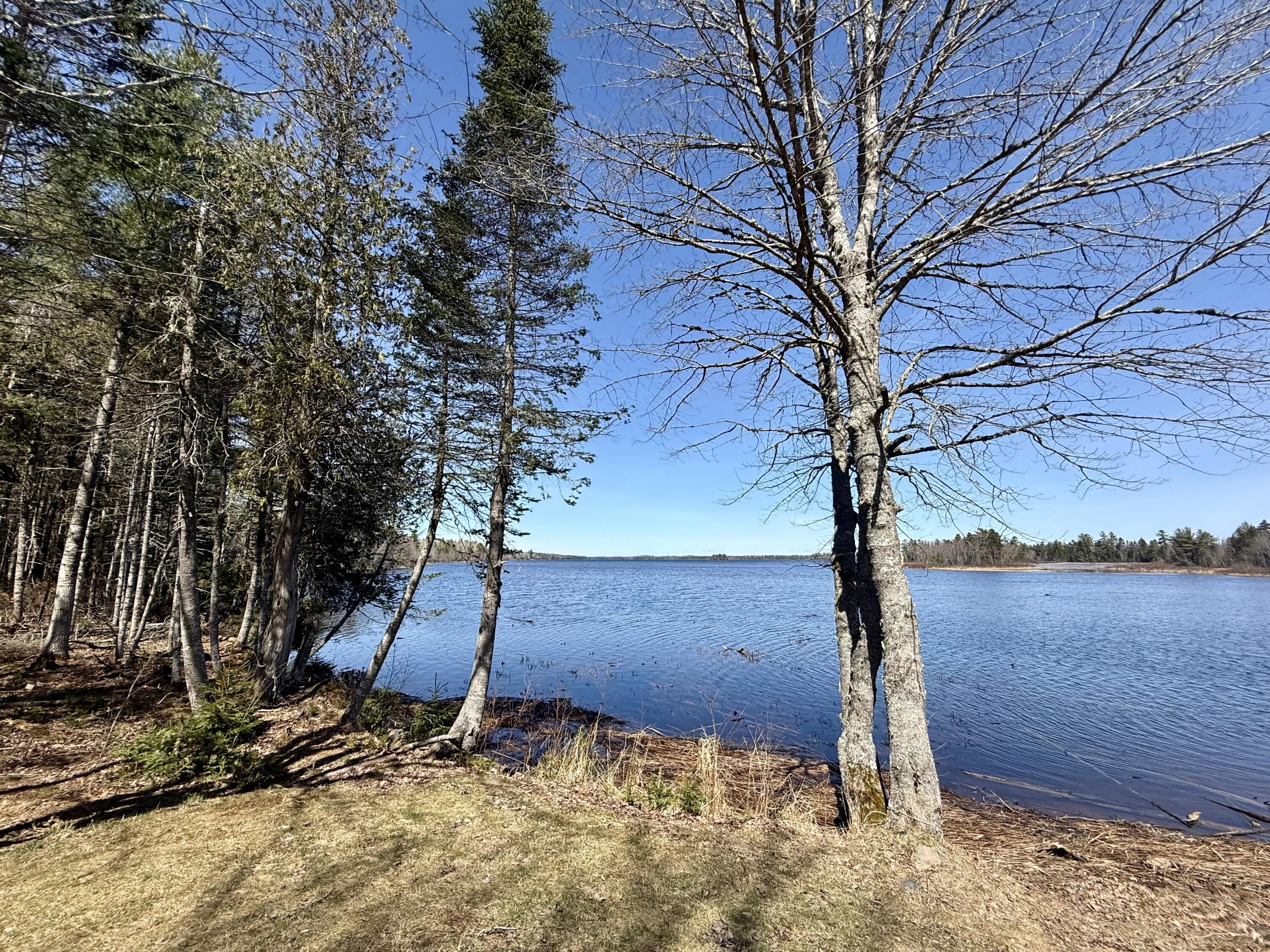 38 Lamb Farm Road Baileyville, ME 04694 - Photo 42 of 52 IMG_8832