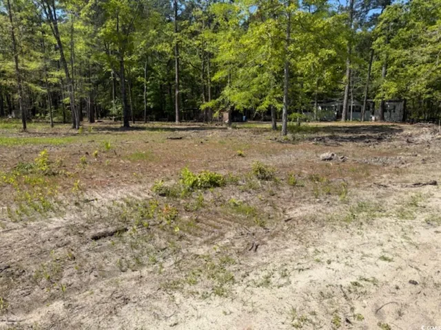 $59,000 | Tbd Johnson Road, Georgetown, SC 29440