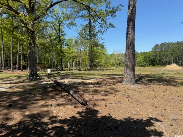 $59,000 | Tbd Johnson Road, Georgetown, SC 29440