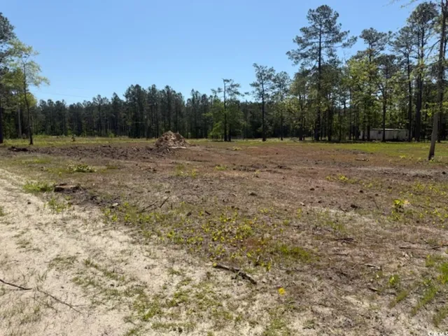 $59,000 | Tbd Johnson Road, Georgetown, SC 29440